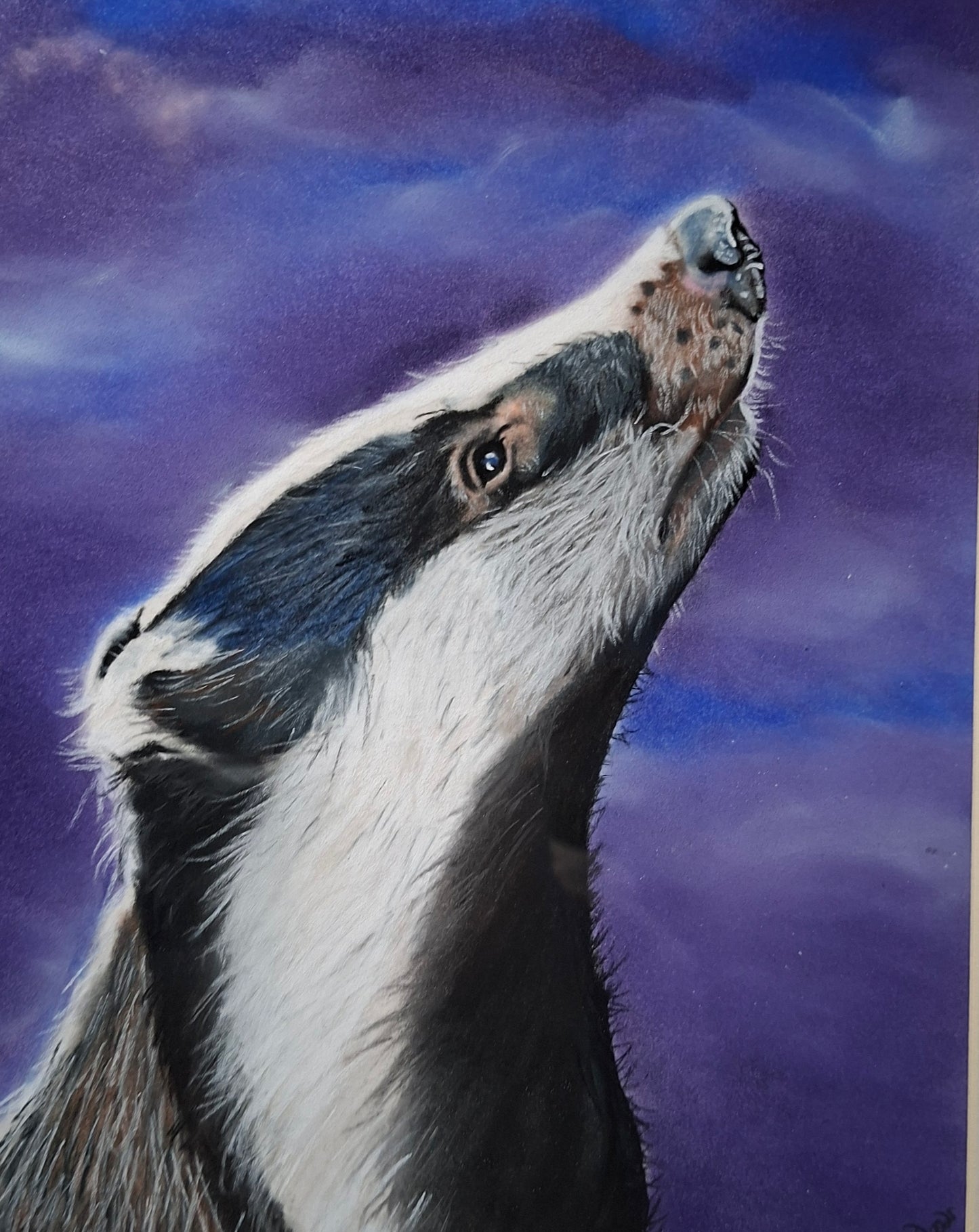 Moonlit badger, pastel drawing